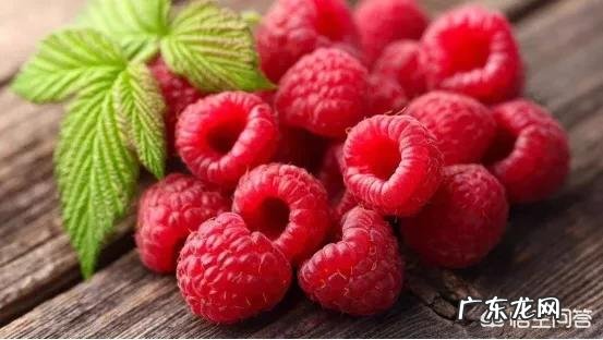 有人说树莓减肥,但只有夏天产树莓,冬天怎么才能吃到树莓呢