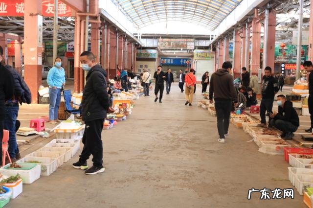 假青头菌能吃么 见手青菌有毒吗