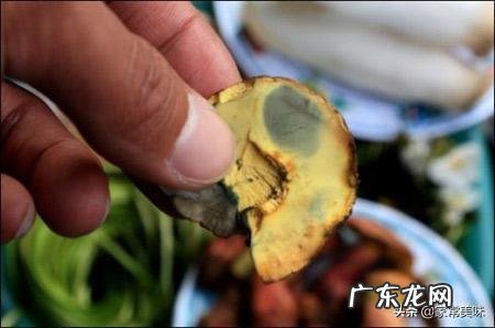 云南有毒菌子图片 变色青蘑菇