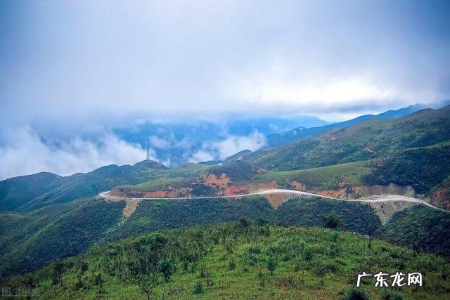 100种有毒蘑菇图 云南警察蘑菇正能量方言版视频