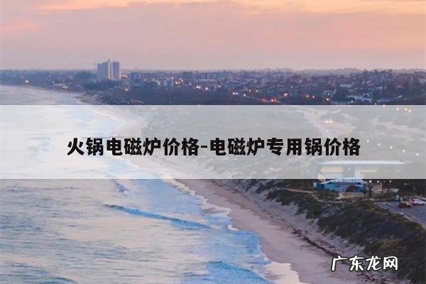 火锅电磁炉价格-电磁炉专用锅价格