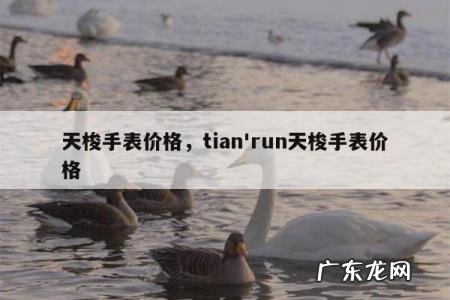 天梭手表价格,tian'run天梭手表价格