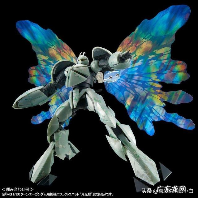 骨盆前倾是怎么回事?可以恢复吗?