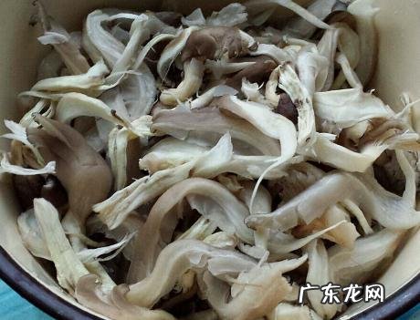 酥脆的椒盐蘑菇怎么做 家庭椒盐蘑菇怎么做酥脆