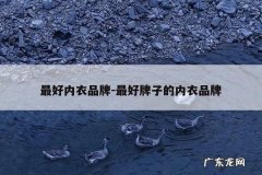 最好内衣品牌-最好牌子的内衣品牌