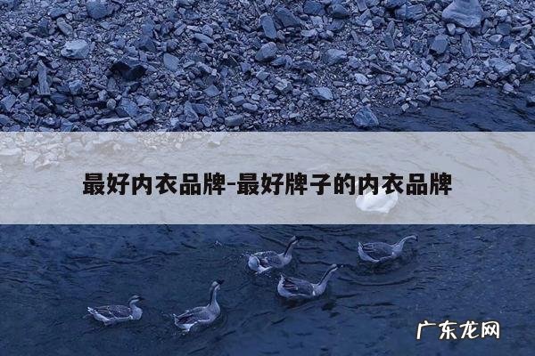 最好内衣品牌-最好牌子的内衣品牌