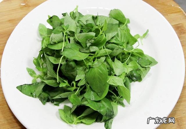 夏季多吃什么蔬菜对身体好 目前的季节该吃些什么蔬菜