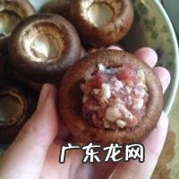 牛排菇的烹调方法 牛排菇的家常做法