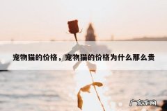宠物猫的价格，宠物猫的价格为什么那么贵