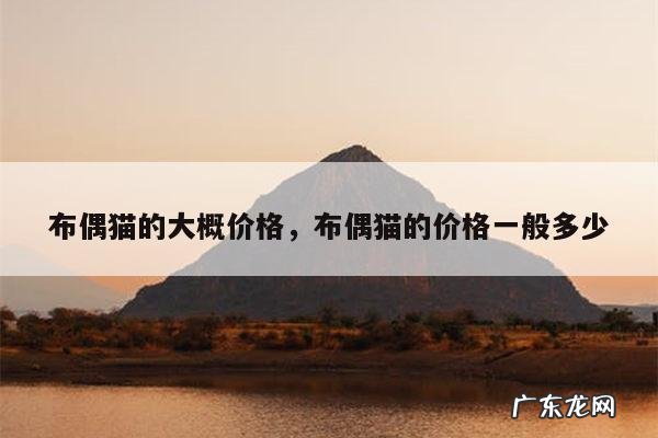 布偶猫的大概价格，布偶猫的价格一般多少
