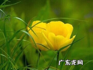 站桩与坐禅,哪个养生效果较好,求高人指教?