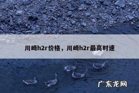 川崎h2r价格，川崎h2r最高时速