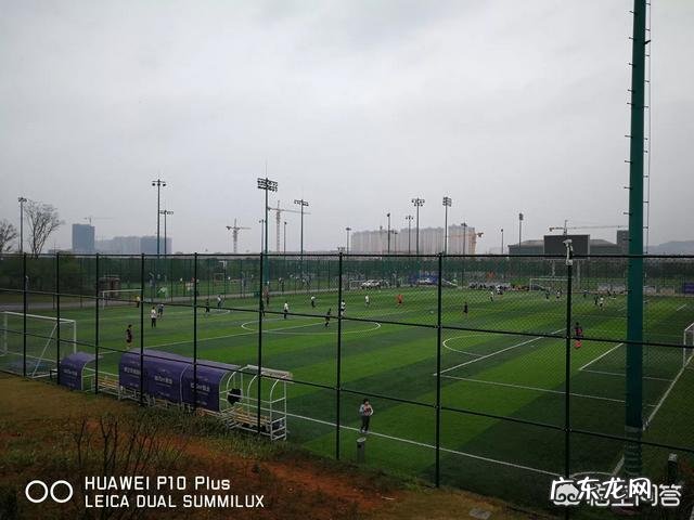 孩子太胖啦，又不爱动，怎么办