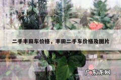 二手丰田车价格，丰田二手车价格及图片