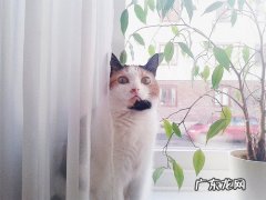 零食分享 | 低脂低卡减肥姐妹福利??