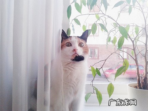 零食分享 | 低脂低卡减肥姐妹福利??