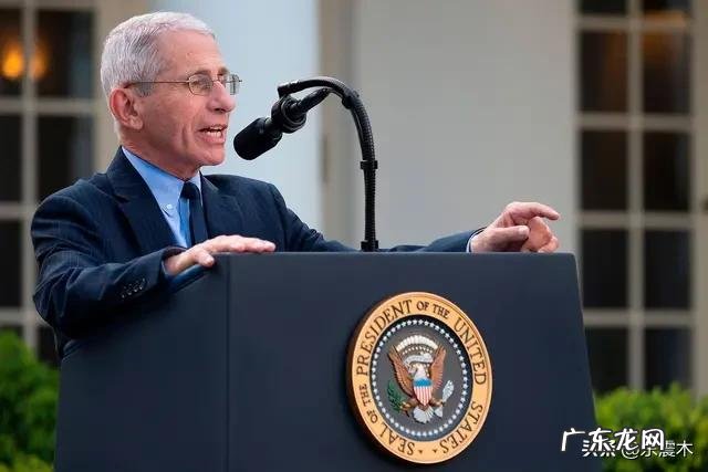 美国单日新增124172人,这是怎么回事