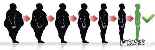 如何根据身高性别判断自己最健康的体重应该是多少?