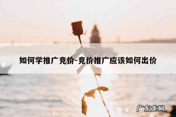 如何学推广竞价-竞价推广应该如何出价