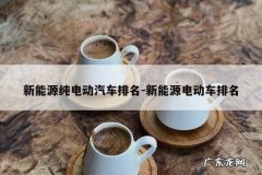 新能源纯电动汽车排名-新能源电动车排名