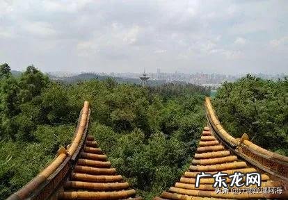 五一假期,昆明周边适合去哪里玩?