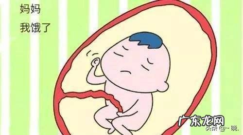 怀孕初、中、晚期的饮食方面,需要注意些什么呢?