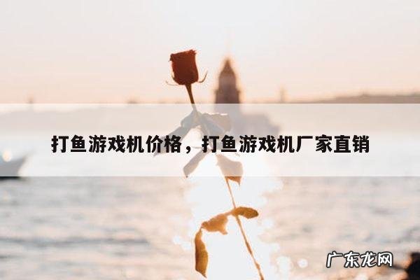 打鱼游戏机价格,打鱼游戏机厂家直销