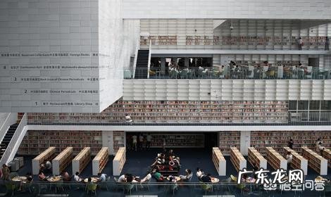 有多少东北人在天津漂泊？说说你们都从事哪些行业？