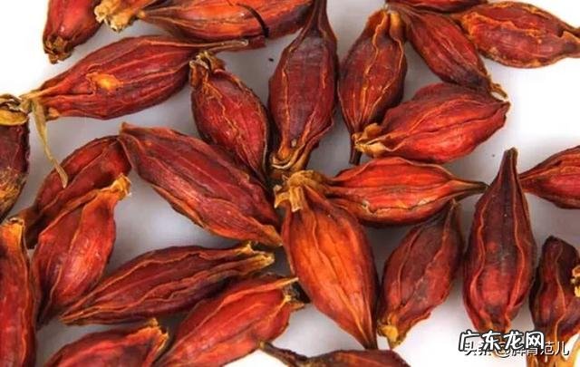 肝火旺却体寒的人如何去火？