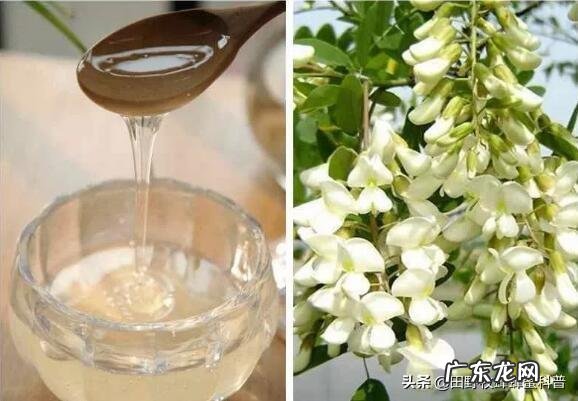 香蕉蜂蜜水减肥法蜂蜜和香蕉能同时吃吗