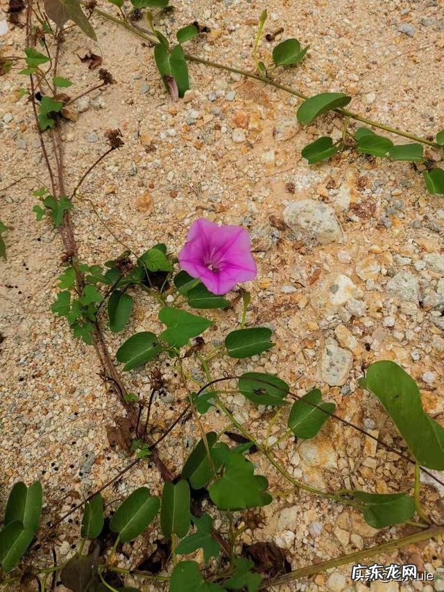 每天半小时跳绳3000饮食也控制了,怎么还会胖已跳3个月