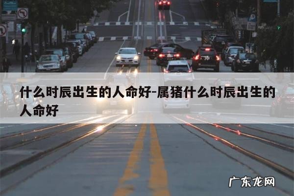 什么时辰出生的人命好-属猪什么时辰出生的人命好