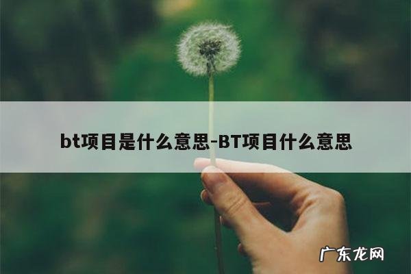bt项目是什么意思-BT项目什么意思