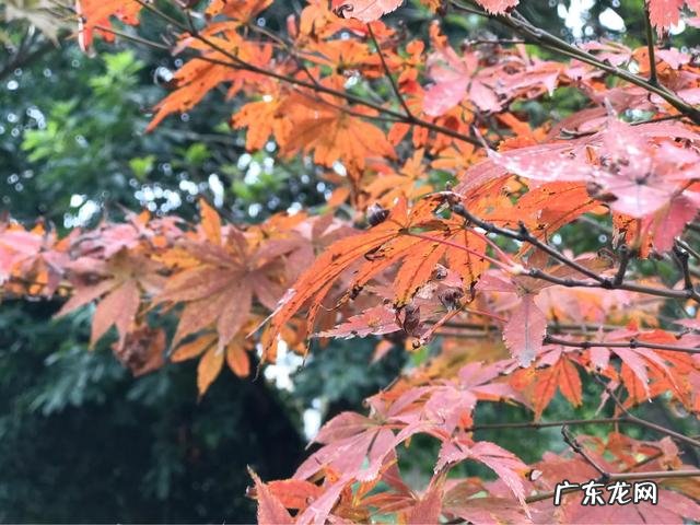 没有仪式感的生活还能继续下去吗？