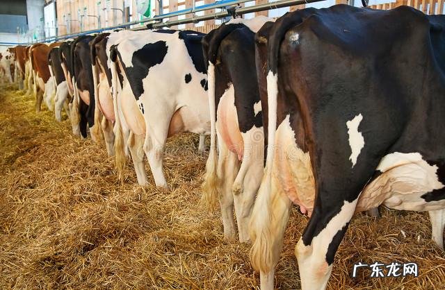 老了,不能自理了,儿女靠不住,养老院又不敢去,怎么办?