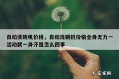自动洗碗机价格，自动洗碗机价格全身无力一活动就一身汗是怎么回事