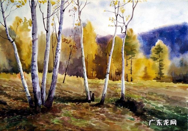 大家用的水彩是固态的好,还是颜料状的好?