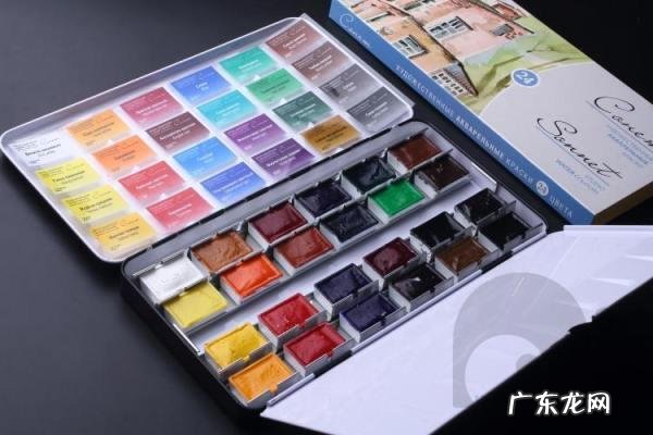 大家用的水彩是固态的好,还是颜料状的好?