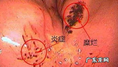 #吃货神技能# 早豆浆晚酸奶,怎喝更健康