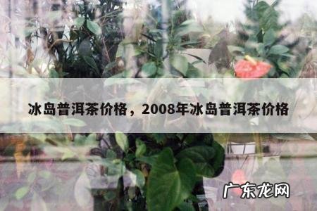 冰岛普洱茶价格,2008年冰岛普洱茶价格