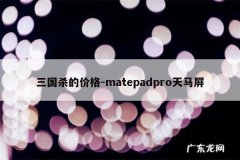 三国杀的价格-matepadpro天马屏