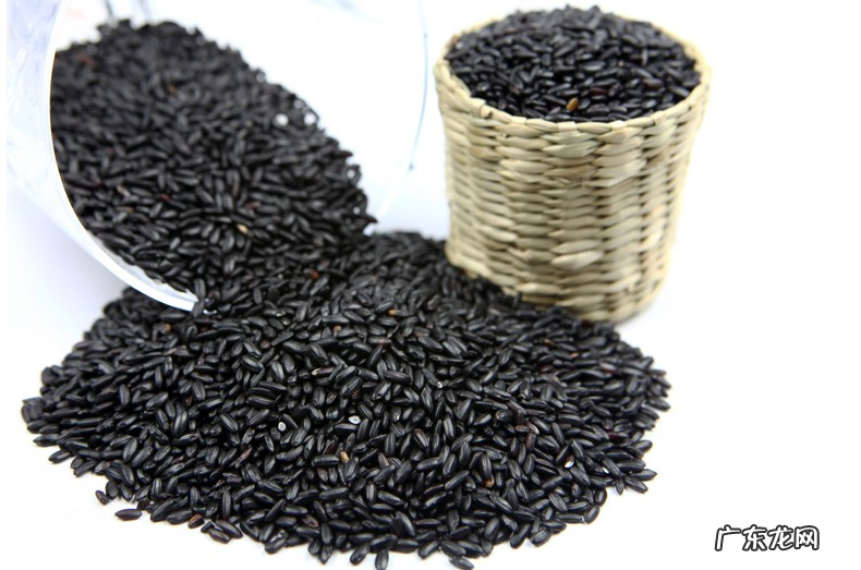 黑米的卡路里高吗能不能减肥