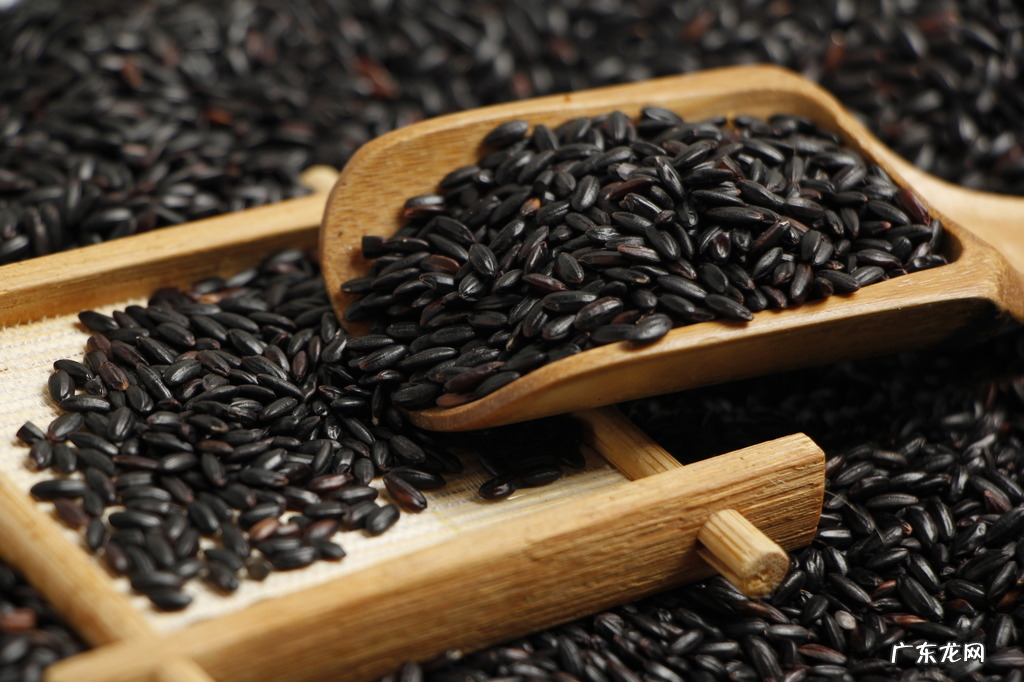 黑米的卡路里高吗能不能减肥