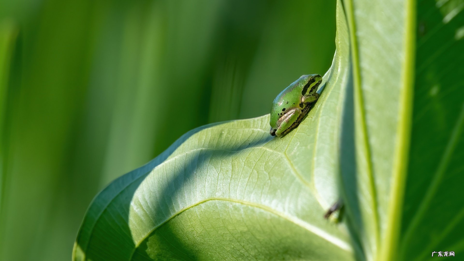 你们怎么看待女孩子痴迷减肥