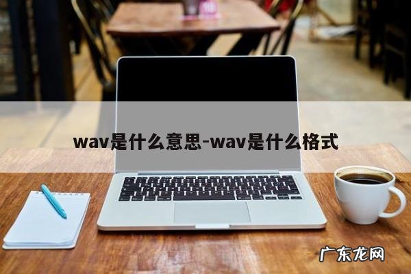 wav是什么意思-wav是什么格式