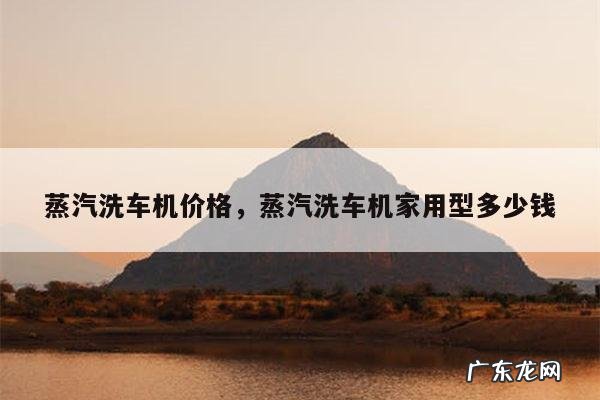 蒸汽洗车机价格,蒸汽洗车机家用型多少钱