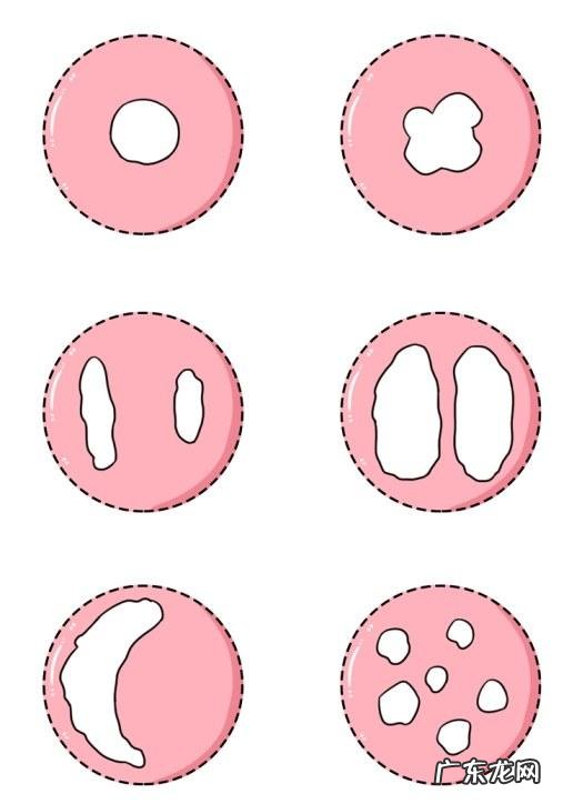 女生胸上有毛囊 女人会不会长胸毛