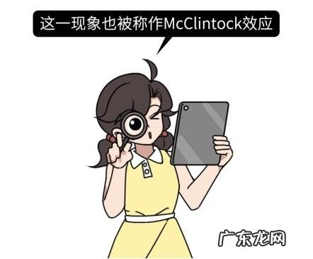 女生胸上有毛囊 女人会不会长胸毛
