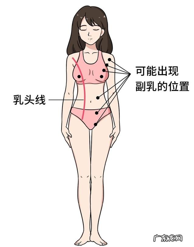 女生胸上有毛囊 女人会不会长胸毛