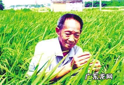 80年代有一辆yongjiu自行车相当于现在什么车